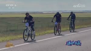 博彩政策的系统性思考（博彩政策的系统化分析）