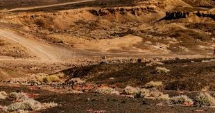 至少1.8亿欧！欧冠、联赛杯接连出局，抠门利物