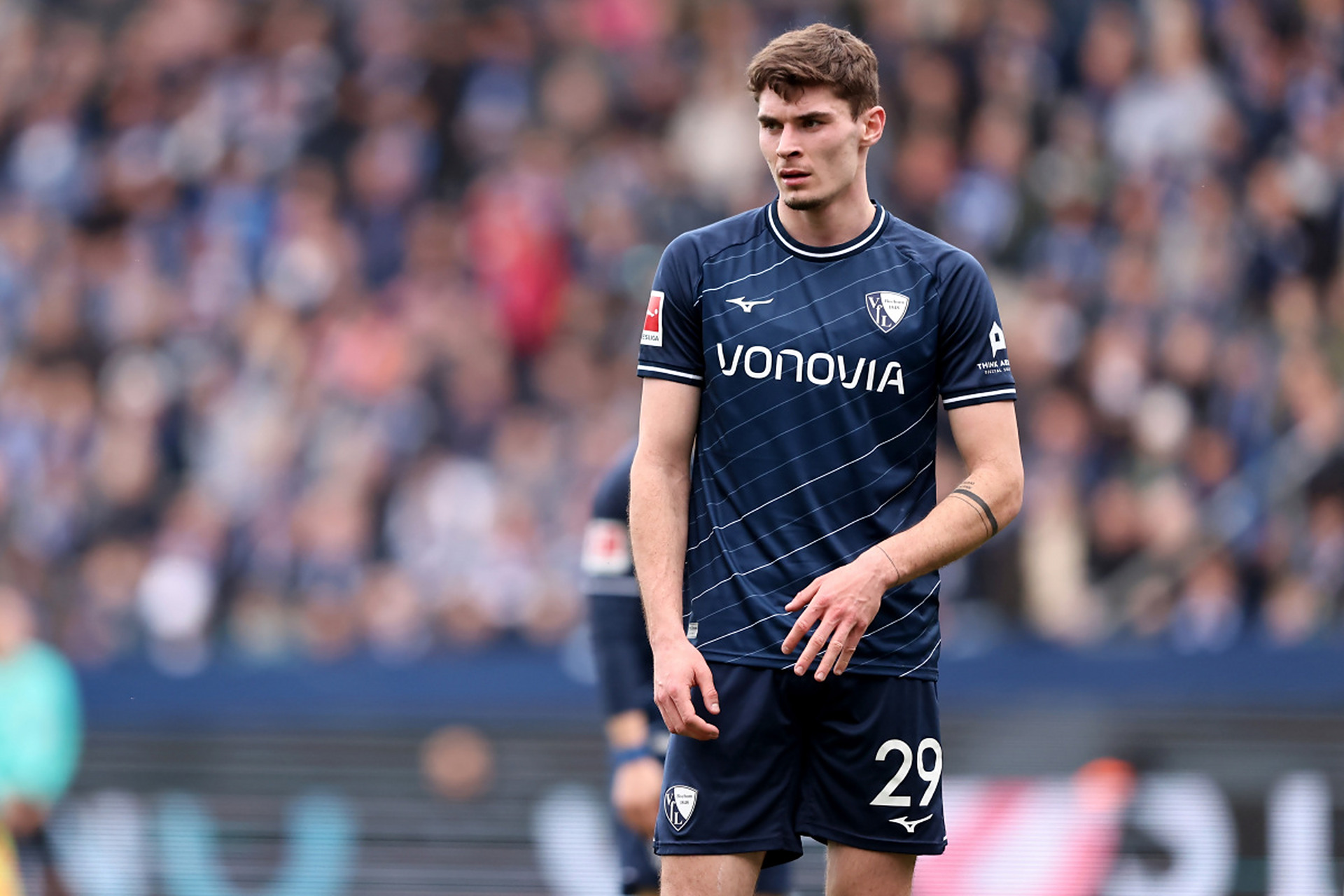 她发现部分 她发现部分