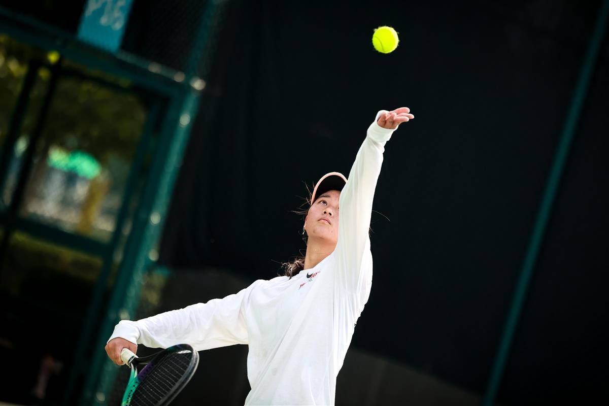 兰多魔术的 兰多魔术的