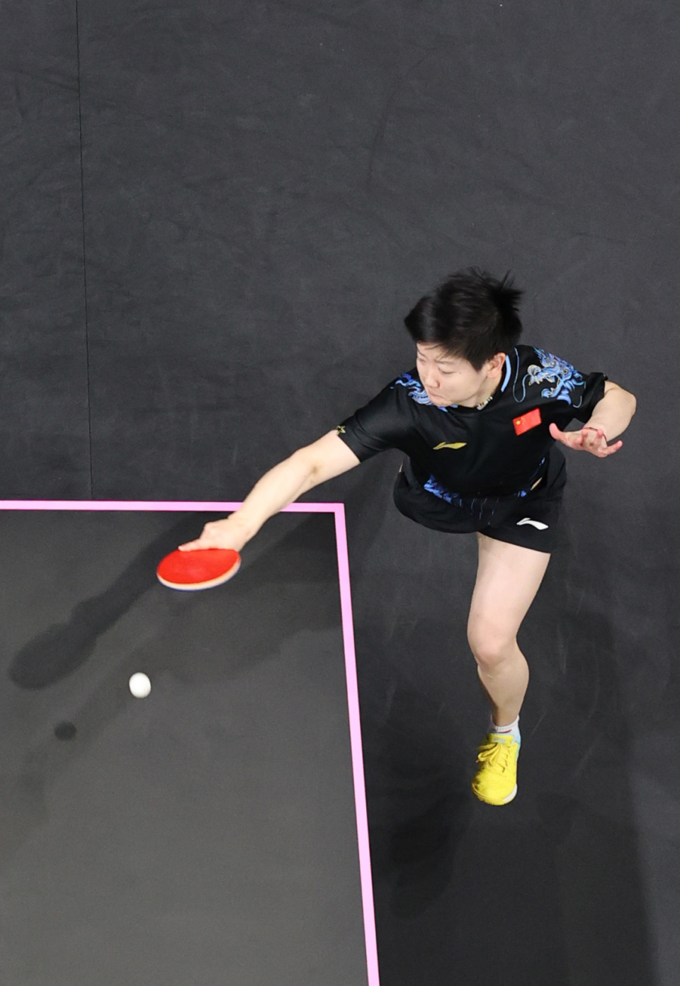 轮的表现相 轮的表现相