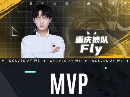 两对承担加 两对承担加